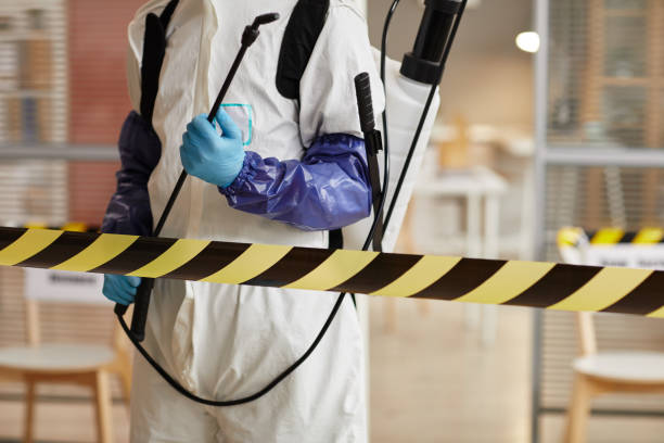 Professional Hoarding Cleanup technician working in Sandia, TX