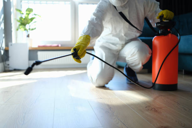 Trusted Trauma Scene Cleanup service in Sandia, TX - Four Month Blood Cleanse